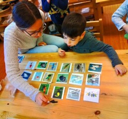 Lyonsgate Montessori student working with his Montessori guide and Classification Cards.