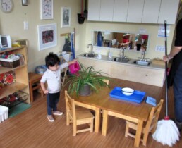 Lyonsgate Montessori toddler student watering a classroom plant.