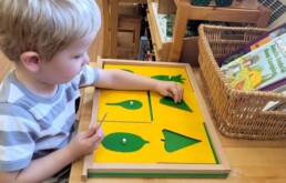 Lyonsgate Montessori student working with a leaf puzzle.