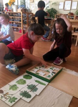Lyonsgate Montessori students working with a tree puzzle.