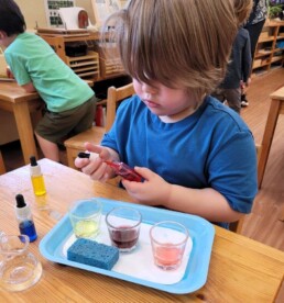 Lyonsgate Montessori student learning about mixing colours.