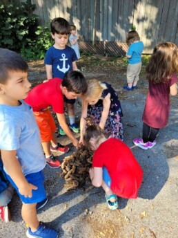 Lyonsgate Montessori students making a pile of pine cones.