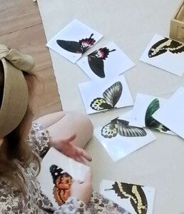 Lyonsgate Montessori student learning symmetry with butterflies.