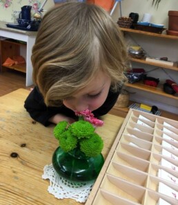 Lyonsgate Montessori student smelling the flowers.