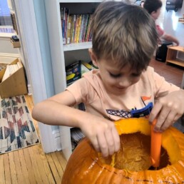 Lyonsgate Montessori student happily gutting a pumpkin.