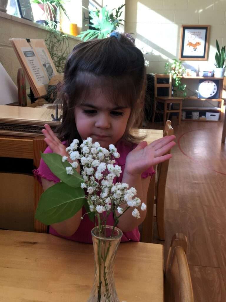 Lyonsgate Montessori Casa student enjoying as vase of flowers.