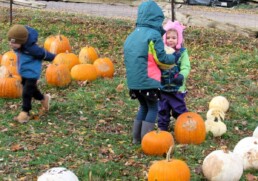 Lyonsgate Montessori students on a pumpkin patch field trip.