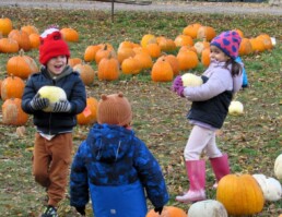Lyonsgate Montessori students on a pumpkin patch field trip.