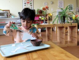 Lyonsgate Montessori Toddler student deeply focused on his work with scissors.