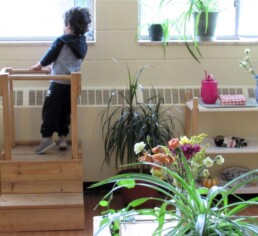 Lyonsgate Montessori Toddler student enjoying the view from the classroom window.