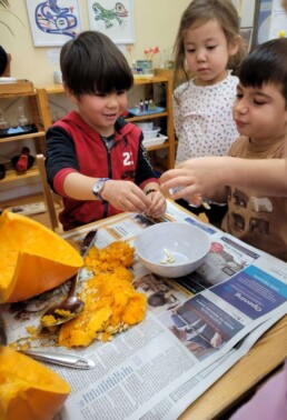 Lyonsgate Montessori students exploring a post-Halloween pumpkin.
