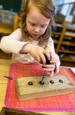 Lyonsgate Montessori Casa student developing practical and fine motor skills with a screwdriver activity.