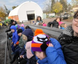Wagon ride on a field trip to the farm.