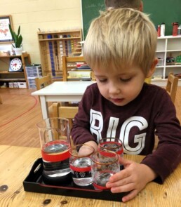 Lyonsgate Montessori Casa student pouring and filling to specific levels.