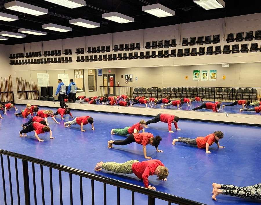 Lyonsgate Montessori Elementary students doing pushups at their martial arts phys. ed. class.