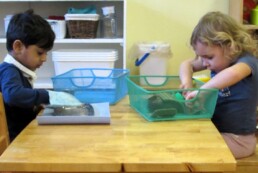 Lyonsgate Montessori Toddler students hard at work with Montessori Practical Life jobs.