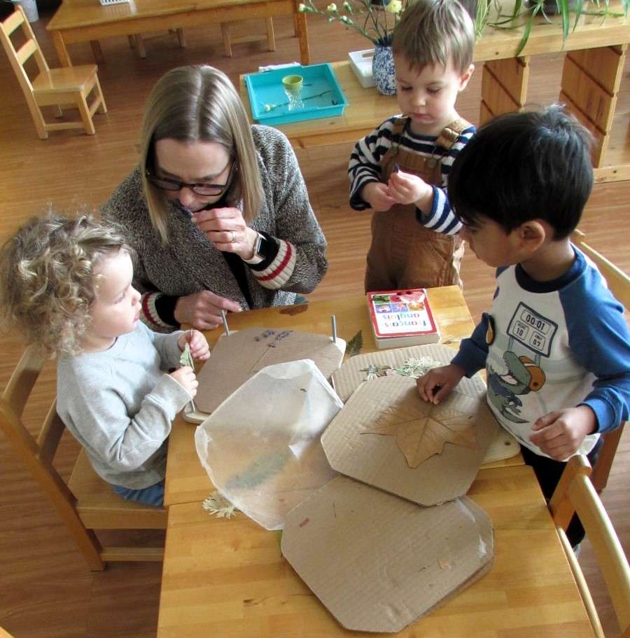 Lyonsgate Montessori Toddler students examining their pressed leaves and flowers.