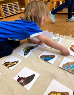 Lyonsgate Montessori Casa student learning the concept of symmetry.