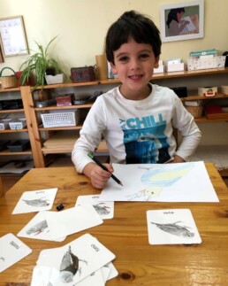 Lyonsgate Montessori Casa student happily drawing a bird.