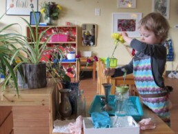 Lyonsgate Montessori Toddler student engaged in the Flower Arranging activity.