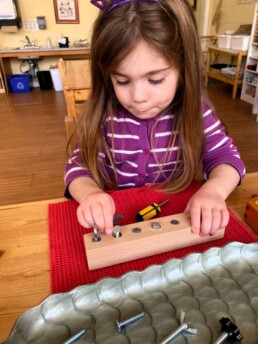 Lyonsgate Montessori Casa student building motor skills with a variety of fasteners and a screwdriver.