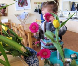 Lyonsgate Montessori Toddler student engaged in the Montessori Flower Arranging activity.
