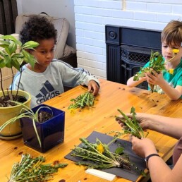 Lyonsgate Montessori Elementary students learning how leaves make food for the plant.