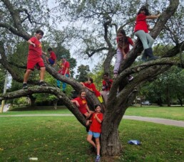 Lyonsgate Montessori School Elementary students in the trees at Churchill Park during their September hike.
