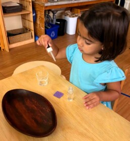 Lyonsgate Montessori School Casa student using a dropper bottle, and developing the pincer grip required for future writing work.