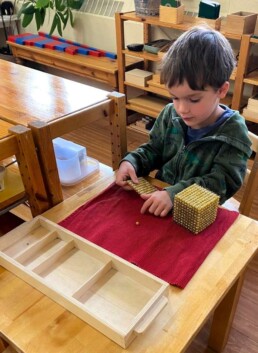 Lyonsgate Montessori School Casa student working with the Montessori Golden Beads material.