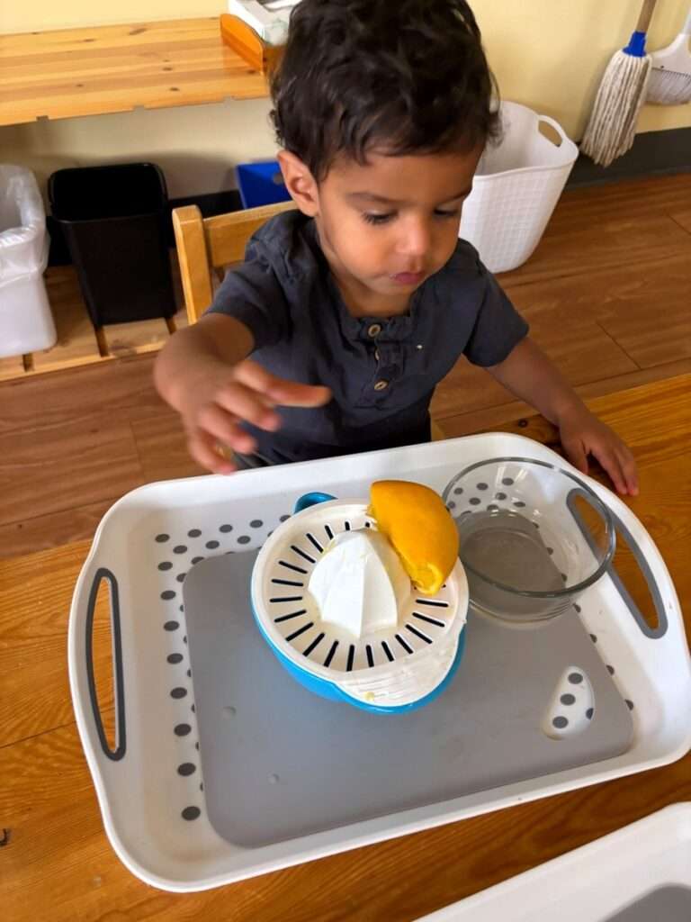Lyonsgate Montessori Toddler student building motor skills by juicing an orange.