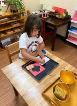 Lyonsgate Montessori School Casa student working with the Montessori Metal Insets material.