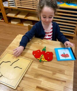 Lyonsgate Montessori School Casa student completing the Montessori Parts of a Flower puzzle outside of the frame, with a face full of pride in her work.