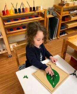 Lyonsgate Montessori School Casa student working with the Montessori Parts of a Leaf material.