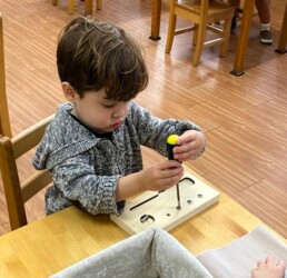 Lyonsgate Montessori School Casa student working with a screwdriver -- a practical skill that helps to develop motor skills and concentration.