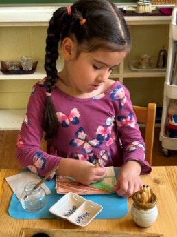 Lyonsgate Montessori School Casa student working with watercolour pencils.