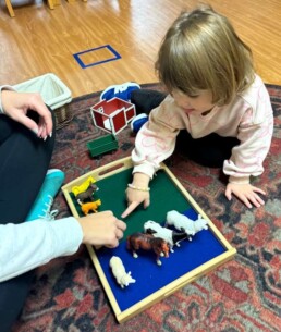 Lyonsgate Montessori School Toddler student developing her animal vocabulary.