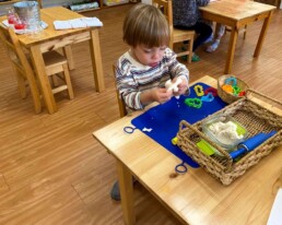 Lyonsgate Montessori School Casa student working with dough to develop the hand strength required for later writing and work with manipulative materials.