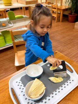 Lyonsgate Montessori School Toddler student exploring food prep through cutting a banana, and tasting it.