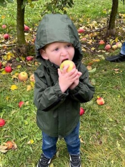 Lyonsgate Montessori School Toddler student enjoying a fresh apple during a field trip to a farm.