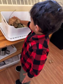 Lyonsgate Montessori School Toddler student exploring fall textures.