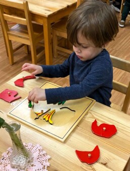 Lyonsgate Montessori School Casa student working on the Montessori Parts of a Flower puzzle, which is more than just a puzzle and has complementary activities from completion to written labelling.