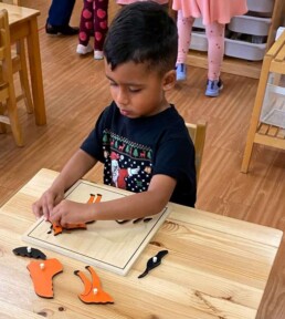 Lyonsgate Montessori School Casa student working on a Montessori Parts of a Horse puzzle, which is more than just a puzzle and has complementary activities from completion to written labeling.