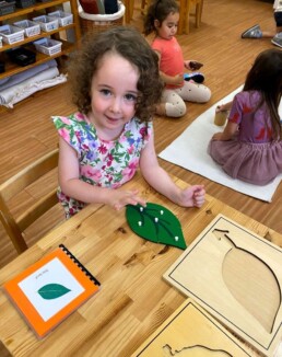 Lyonsgate Montessori School Casa student completing the Montessori Parts of a Leaf puzzle, outside of the frame, with the corresponding definition booklet.