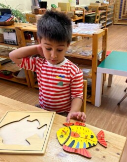 Lyonsgate Montessori School Casa student working on completing the Montessori Parts of a Fish puzzle outside of the frame.