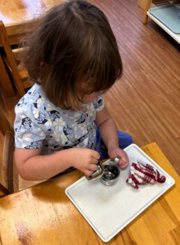 Lyonsgate Montessori School Toddler student working with a pouring activity to build concentration and motor skills.