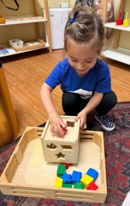 Lyonsgate Montessori School Toddler student working with a puzzle box to build motor skills and introduce geometry vocabulary.