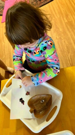 Lyonsgate Montessori School Toddler student using stickers to build fine motor skills by practicing how to get an object from one paper to the next and placing it.
