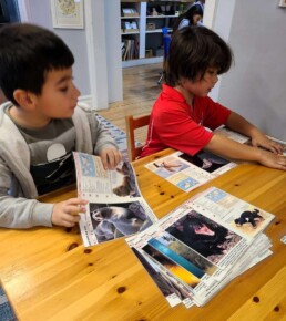 Lyonsgate Montessori School Elementary students classifying mammals by order.