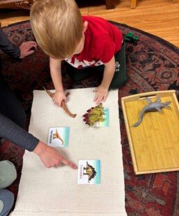 Lyonsgate Montessori School Toddler student working on his language by learning the names of the dinosaurs and matching them to their picture.